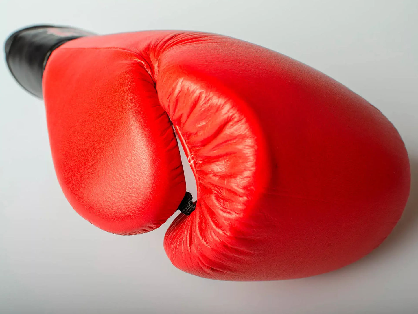 Boxhandschuhe PAFFEN SPORT KIBO FIGHT