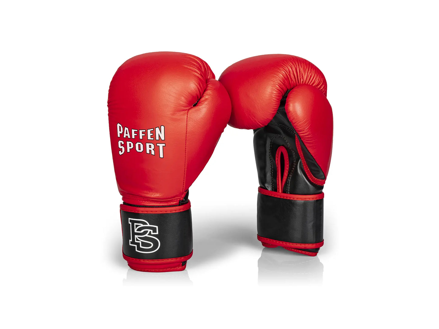 Boxhandschuhe PAFFEN SPORT ALLROUND ECO