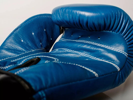 Boxhandschuhe PAFFEN SPORT KIBO FIGHT