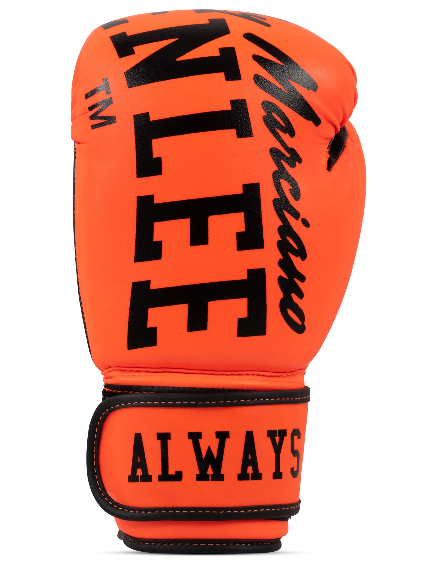 Boxhandschuhe BENLEE CHUNKY B